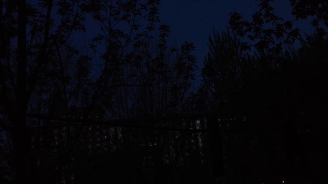 Кто поет в Москве по ночам? смотреть онлайн