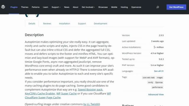 WPO vs Autoptimize: Which is the best WordPress optimization plugin? смотреть онлайн
