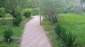 Отдых на Ейской косе.Самая лучшая база отдыха"ПРИБОЙ"