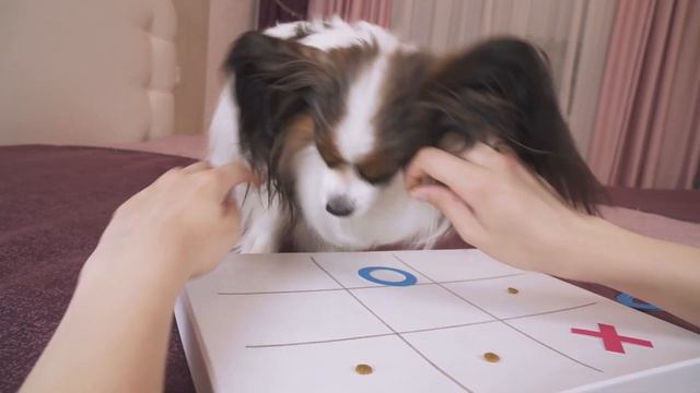 Веселый ЮКИ играет с Алисой в Крестики Нолики! смотреть онлайн