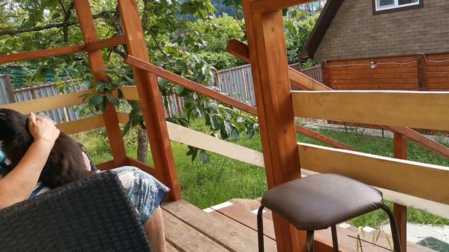 Сочи. Горное Лоо. Утро. +25°C. 15 07.2023г.© смотреть онлайн