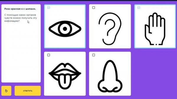 Mars algoritmika.az. Класс 2. Модуль 4 Алгоритмы Урок 1 Основное и дополнительное задание Х