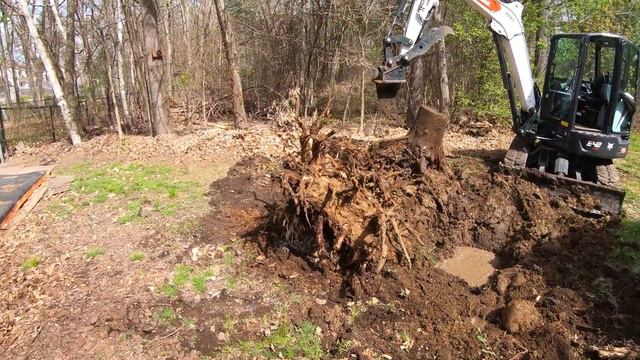 Digging Up A Stump Dump смотреть онлайн