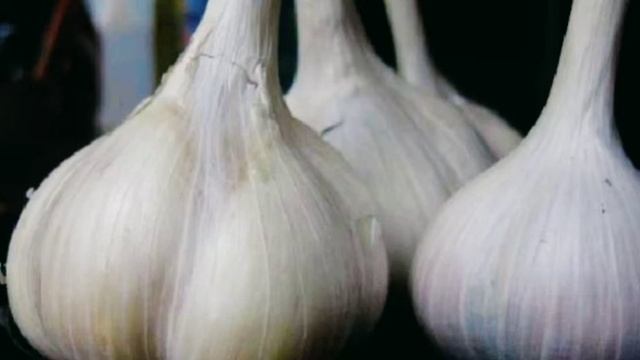 Секрет хранения озимого чеснока до мая, головки твердые и сочные! смотреть онлайн