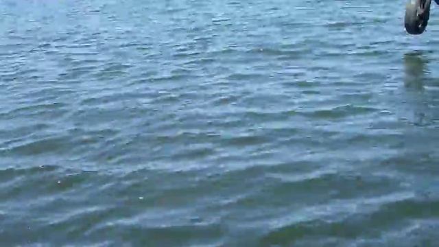 Турция Дальян черепахи смотреть онлайн