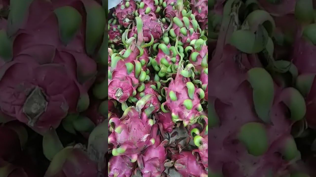 Драгон фрут- какого цвета у него сердцевина? #камбоджа #фрукты смотреть онлайн