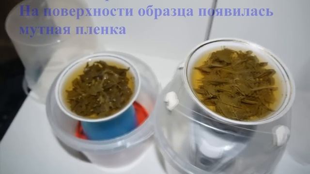 Строительный Детектив