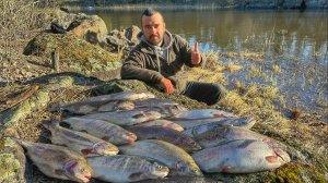 ОБАЛДЕТЬ! ЛОВИМ КРУПНУЮ ФОРЕЛЬ НА ПОПЛАВОЧНУЮ УДОЧКУ. МАЙ 2023.