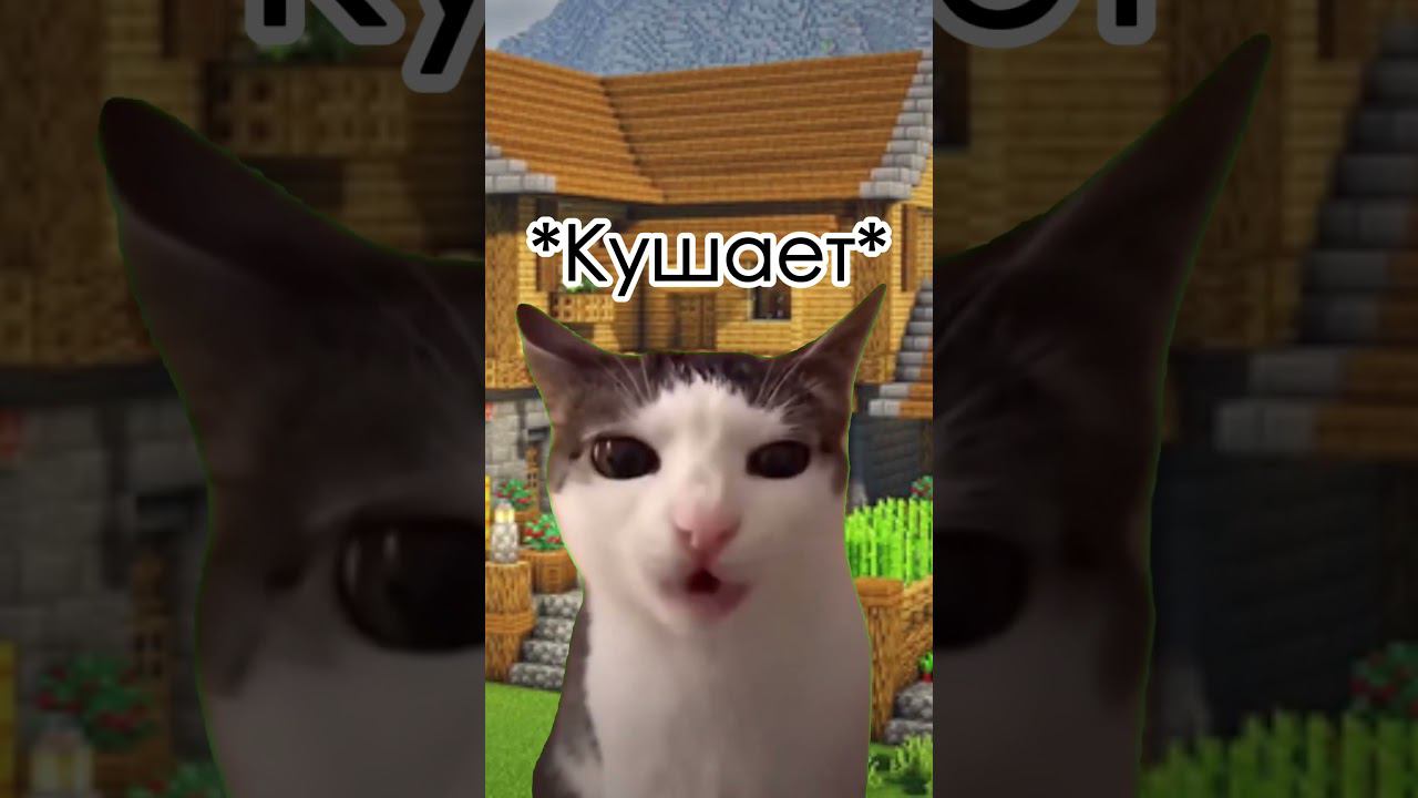 Котик кушает еду #Shorts смотреть онлайн