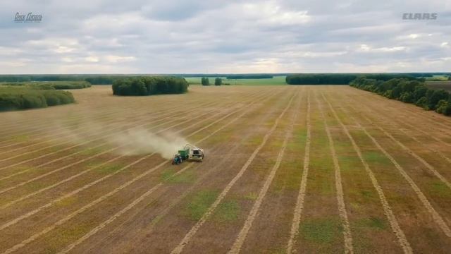 Работа кормоуборочного комбайна CLAAS JAGUAR. Омская область. АО "Звонаревокутское" смотреть онлайн