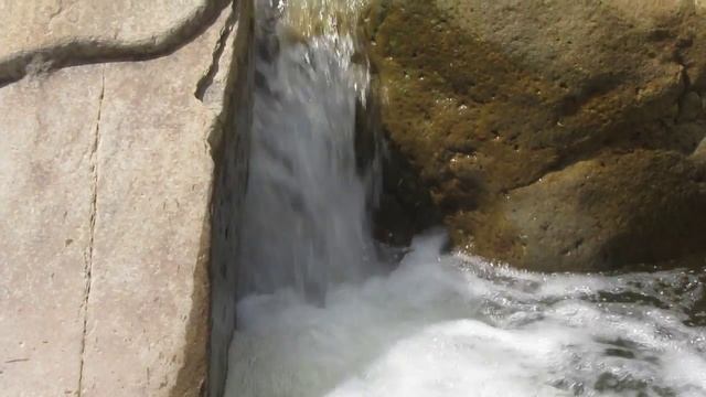 Быстрянки русские (Alburnoides bipunctatus rossicus) смотреть онлайн