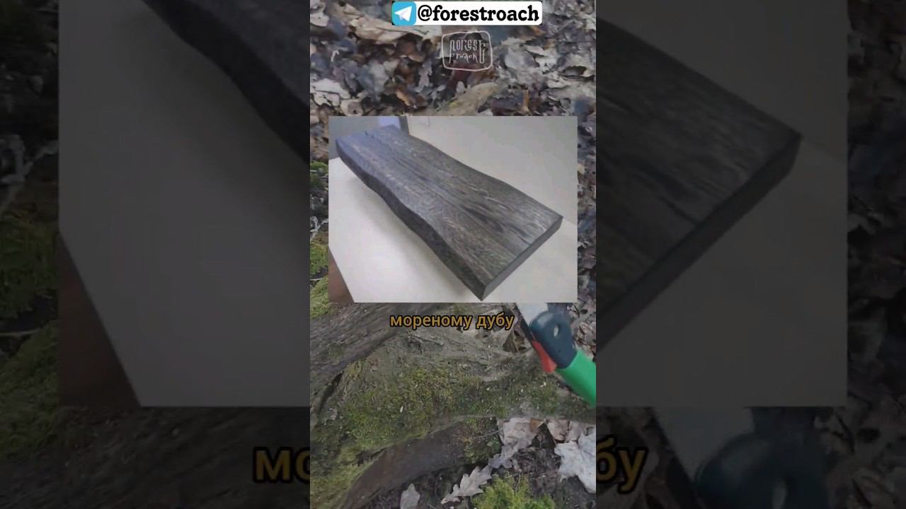 КРАСИВОЕ ДЕРЕВО В ВАШЕМ ЛЕСУ!! #выживание #бушкрафт #bushcraft #knife #нож #ковка #самоделки #forest смотреть онлайн