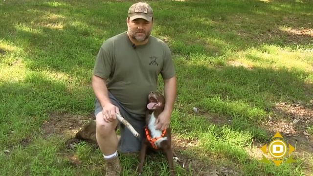 Pets and Poison Ivy смотреть онлайн