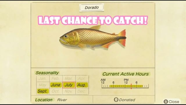 All Fish You Can Catch In SEPTEMBER In Animal Crossing New Horizons | Northern Hemisphere смотреть онлайн