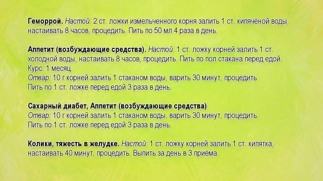 Что лечит корень одуванчика. Корни одуванчиков рецепты смотреть онлайн