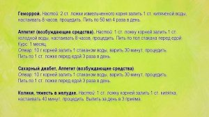 Что лечит корень одуванчика. Корни одуванчиков рецепты