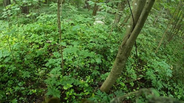 Отряд "Теней" наводит шороху в новой маскировке на игре Рокада-2 от МСК "Град" смотреть онлайн