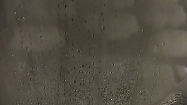 Fiorini Forni Расстойка Булочки смотреть онлайн