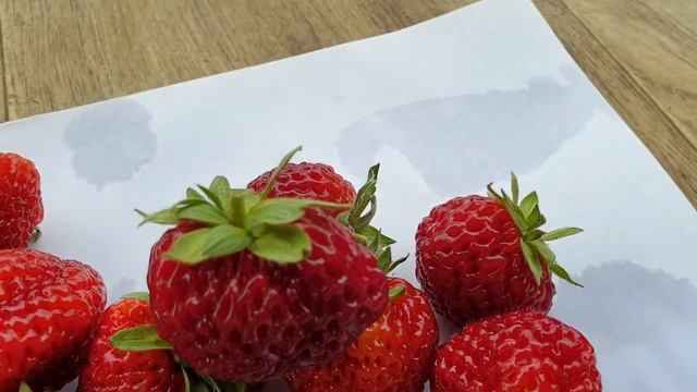 Лучшие СОРТА Клубники. Дегустация Клубники, которые дают хороший урожай, вкус, размер и цвет.