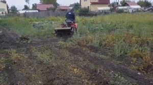 TZ4K-14 мульчер для картофельной ботвы.