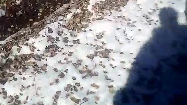 Покатушки на мотоблоке агро смотреть онлайн
