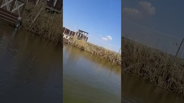 Ловля воблы Астрахань камызяк 2015г смотреть онлайн