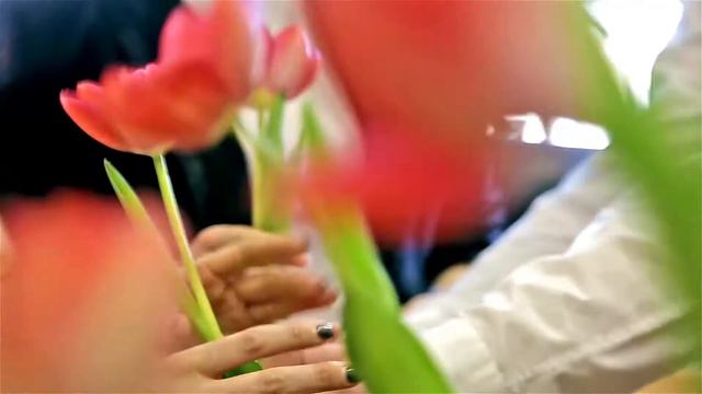 Поздравление мэра Нижнего Новгорода В. А. Панова с 8 Марта смотреть онлайн