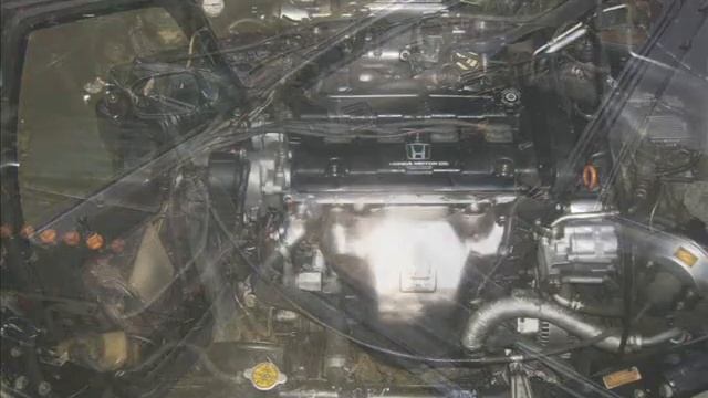 Honda Accord 1991