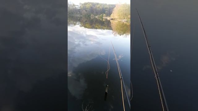 Нахлыст Стезева Дача смотреть онлайн