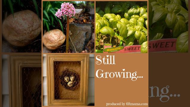 SG544: Day Three Highlights from the 2016 Garden Bloggers Fling смотреть онлайн