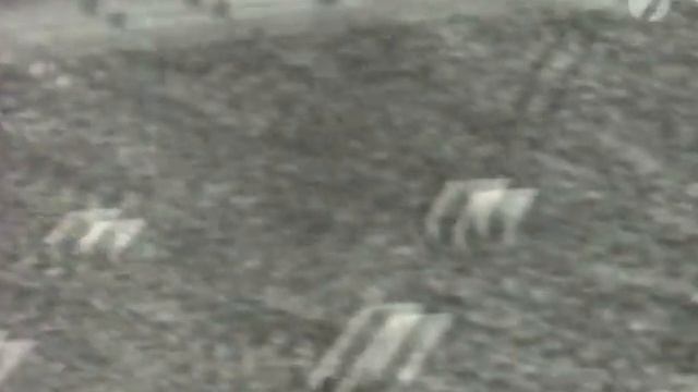 URSS - România 1:1, 1957, Moscova / СССР - Румыния 1:1, 1957 Москва смотреть онлайн