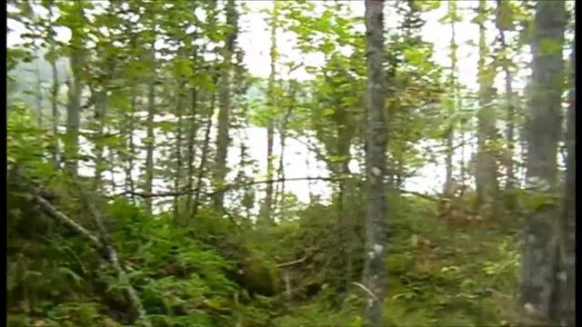 Три дня в Лахденпохья часть 1 смотреть онлайн