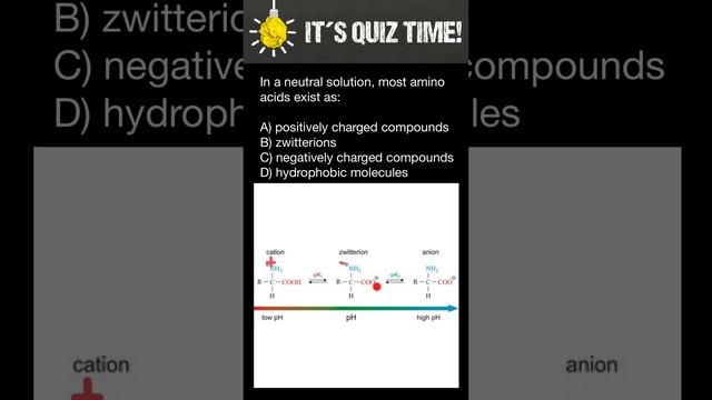 In a neutral solution, most amino acids exist as... смотреть онлайн