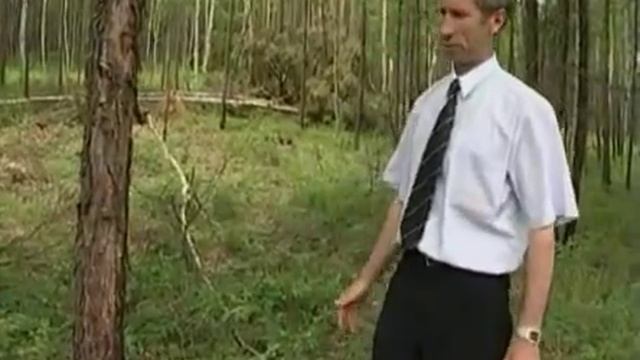 профессия лесовор чита смотреть онлайн