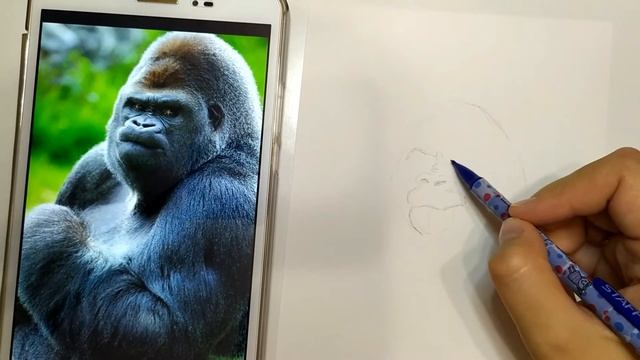 Рисунок "двухцветной" акварелью: Горилла / Speed Drawing / Drawing "two-color" watercolor: Gorilla смотреть онлайн
