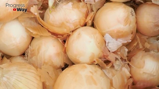 Бросьте это при посадке в горшок! Любая рассада растет мощная без подкормок!