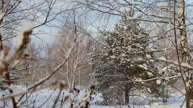 Быстро и вкусно! смотреть онлайн