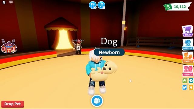 *NEW* CODES FOR FREE LEGENDARY MONKEY PETS in Adopt Me! Roblox Monkey Update смотреть онлайн