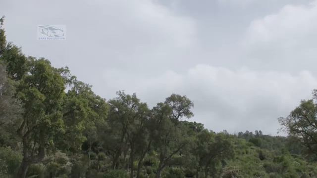 【iCar】 Mercedes S63 AMG 4MATIC Cabriolet Designo Cashmere White Magno for Year 2016 смотреть онлайн