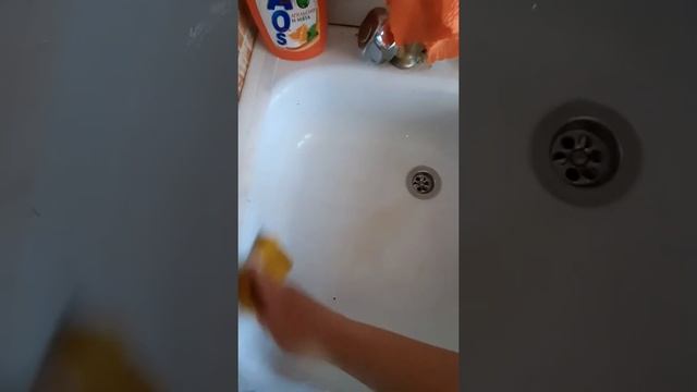 Чистим раковину с Sanfor