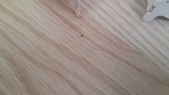 Новые лпс! Обмен с подругой 😎 смотреть онлайн