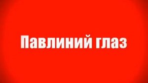 Редкие и исчезающие растения и животные Курганской области