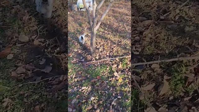 помогите к то знает ...не известная для меня причина смотреть онлайн
