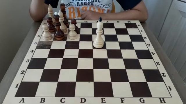 Шахматы. ЗАДАЧА КОТОРУЮ НЕ МОЖЕТ РЕШИТЬ КОМПЬЮТЕРНАЯ ПРОГРАММА. Обучение шахматах. смотреть онлайн