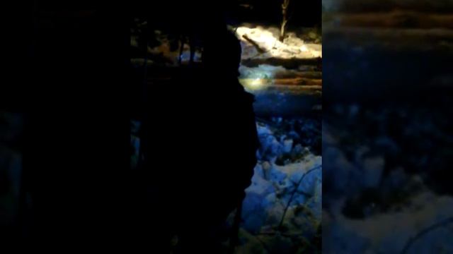 Воруем лес ночью смотреть онлайн