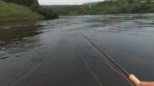 Ловля СЕМГИ в середине сезона, река КОЛА / Atlantic Salmon fly fishing mid-season of Kola river. смотреть онлайн