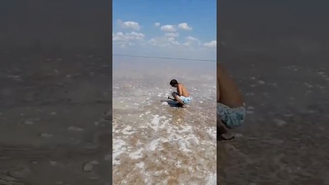 27. Розовое озеро Сасык-Сиваш Крым/ море Евпатория/раки/23.08.21 смотреть онлайн