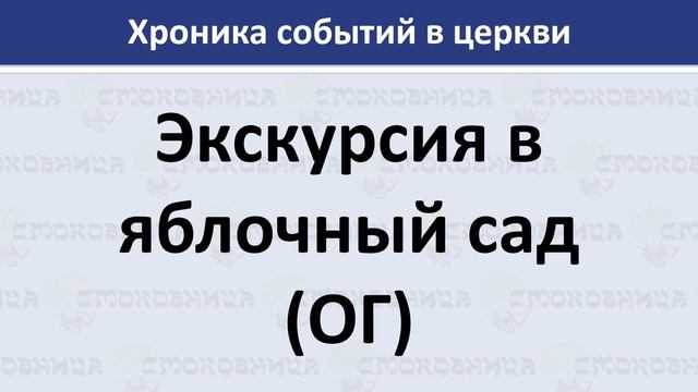 Экскурсия в яблочный сад смотреть онлайн