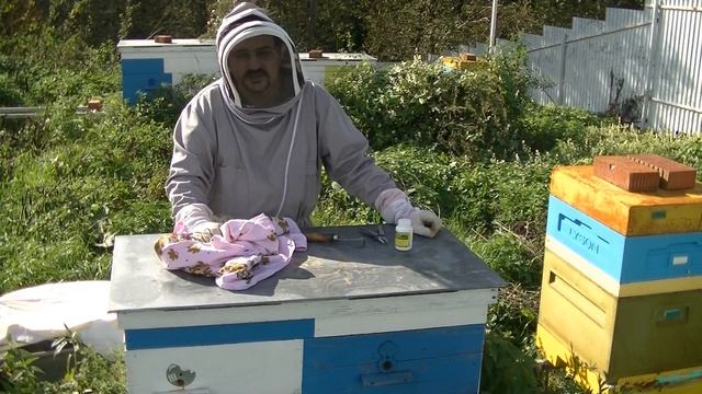 ❤ Муравьиная кислота против клеща варроа ❤ смотреть онлайн