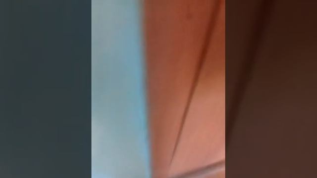 Как легко можно взламывать замки в туалете и в душевой в БКШ смотреть онлайн